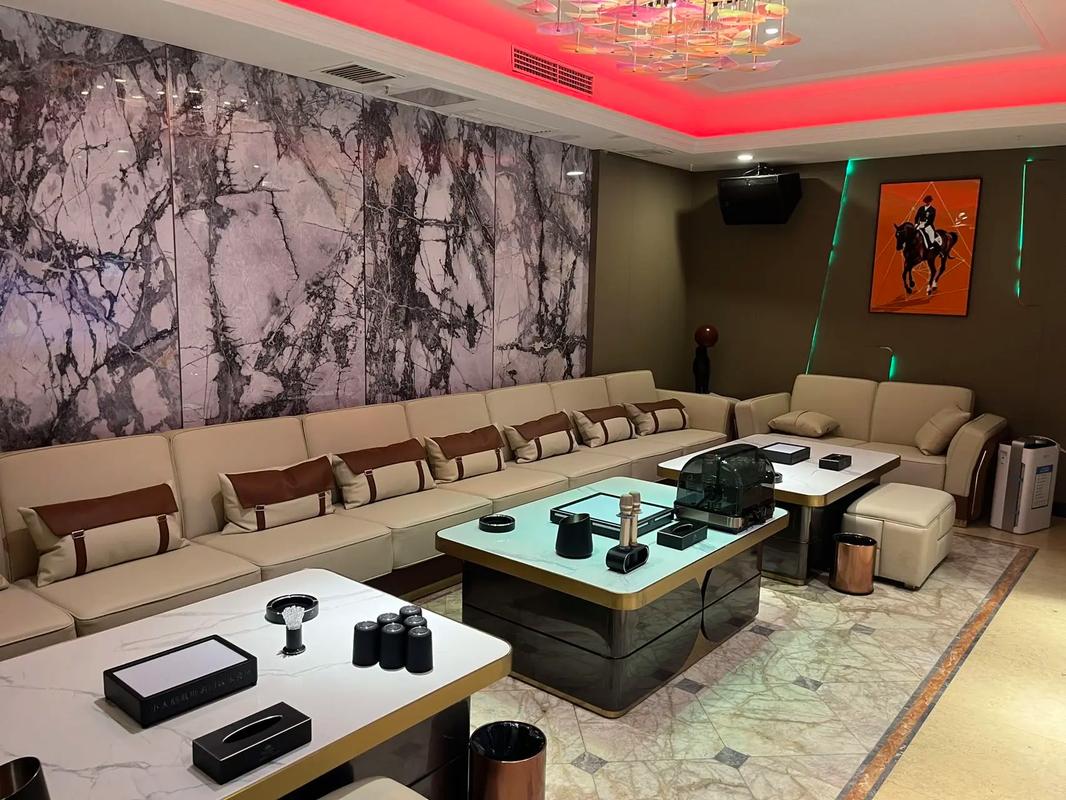 驻马店商务ktv，性价比高-泌阳县KTV团购